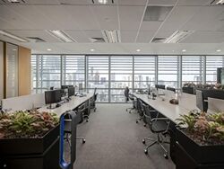 ONE GEORGE STREET (D1), Office #584861701